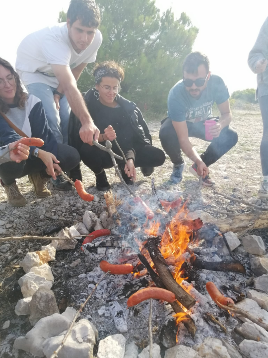 Mladi iz europskih zemalja mjesec dana radili na Murteru: Iza njih ostale nove pješačke staze i prebojane klupe