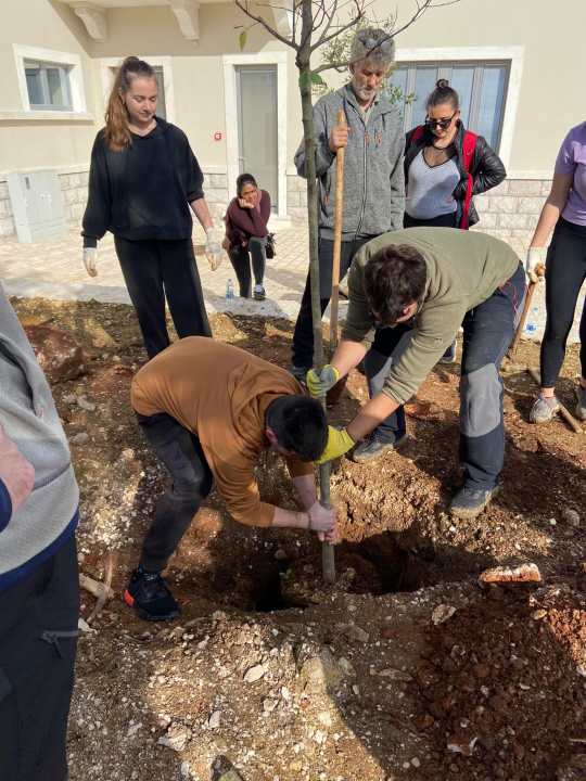 Šibenski volonteri s kolegama iz Europe zasadili mlada stabla u uvali Minerska u kanalu
