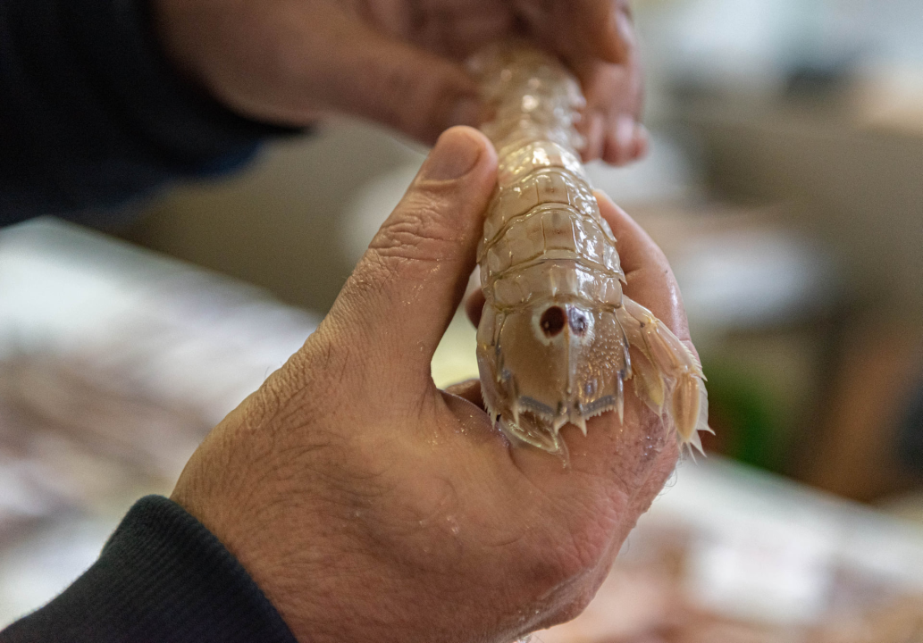 Ponuda ribe na peškariji u skladu s tmurnim danom: Ipak, za 50 kuna može se kupiti pet kila ribe, a ima i štriguna