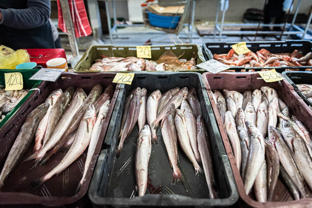 Na Badnji dan i nije neka ponuda na peškariji, Šibenčani su se za ove blagane izgleda pripremili ranije 