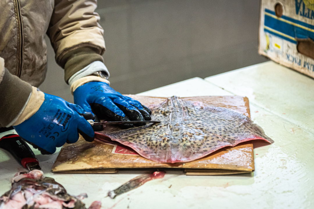 Na Badnji dan i nije neka ponuda na peškariji, Šibenčani su se za ove blagane izgleda pripremili ranije 