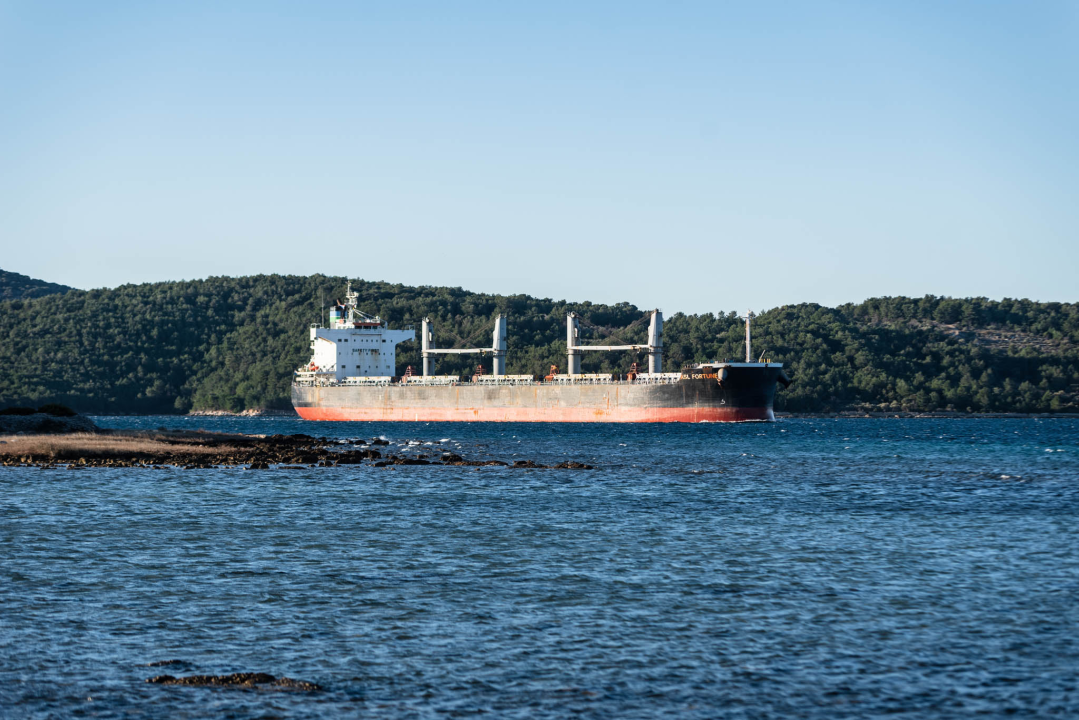 Najveći brod koji je ikad prošao kroz šibenski kanal: Ovaj div prevozi aluminij, pogledajte kako je izgledalo uplovljavanje u grad