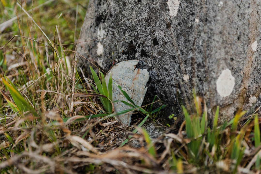 'To groblje je poput Pandorine kutije, bila je i njemačka krim policija': Na Raskrižju su posljednje počivalište našli i partizani i fašisti