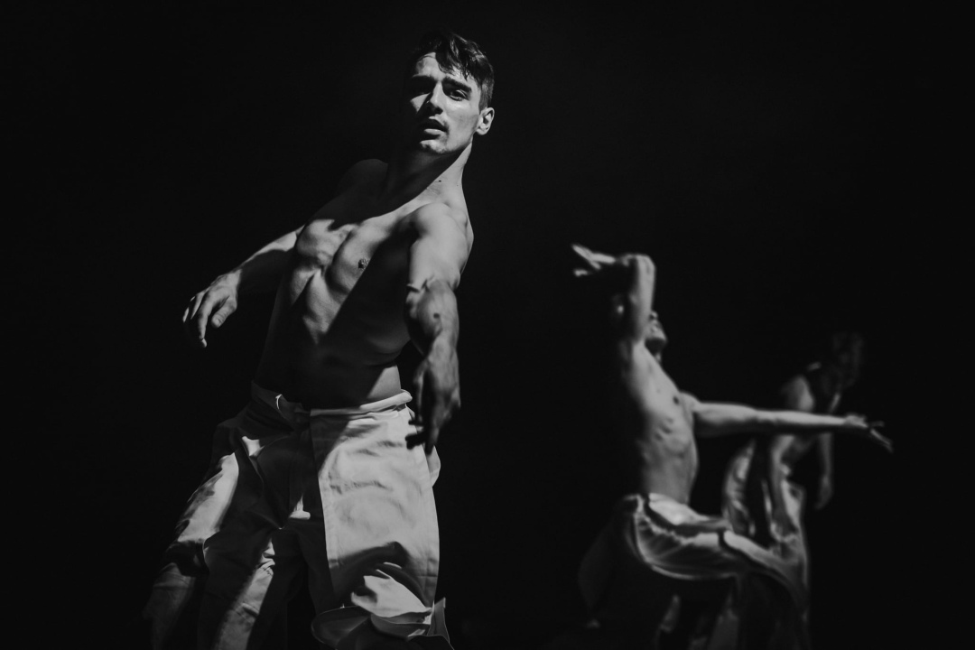 'Boys Boys Boys' sinoć u Arsenu: Šibenčanke uživale u ekspresivnom muškom plesu 