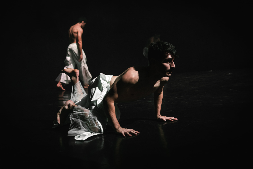 'Boys Boys Boys' sinoć u Arsenu: Šibenčanke uživale u ekspresivnom muškom plesu 