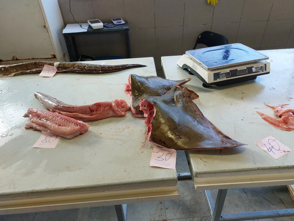 Na peškariji skromna ponuda zbog bure: Srdele, brancini i jedna murina