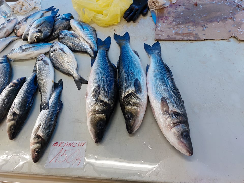 Na peškariji skromna ponuda zbog bure: Srdele, brancini i jedna murina