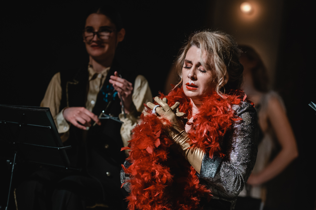 Ženski orkestar do suza nasmijao šibensku publiku, likovi su nam bolno poznati!