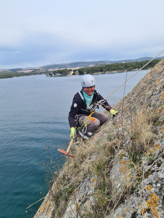 I tvrđava sv. Nikole se priprema za sezonu: Njene zidine očišćene od raslinja, trave…  