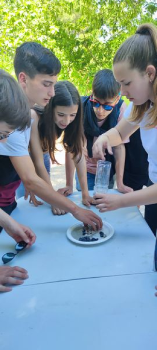 Prvo domaćinstvo OŠ Meterize u Erasmus+ projektu: Glavna tema klimatske promjene 