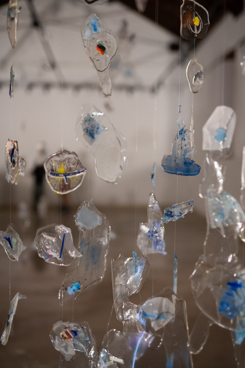 'Herbarij' Nikoline Šimunović u galeriji Kninskog muzeja: 'Sve me vodi k sebi'