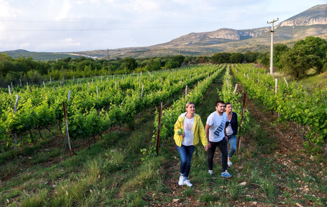Studirajte na Veleučilištu 'Marko Marulić' u Kninu!