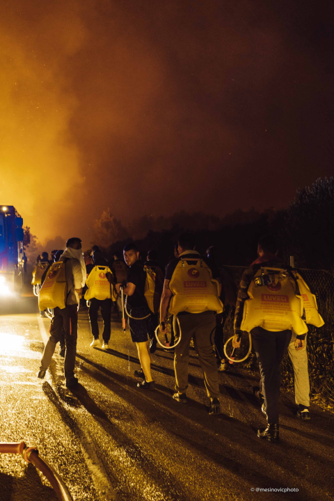 Fotogalerija i video: Bitka s vatrom u Zatonskoj ulici koja spaja Zaton i Benkovačku cestu