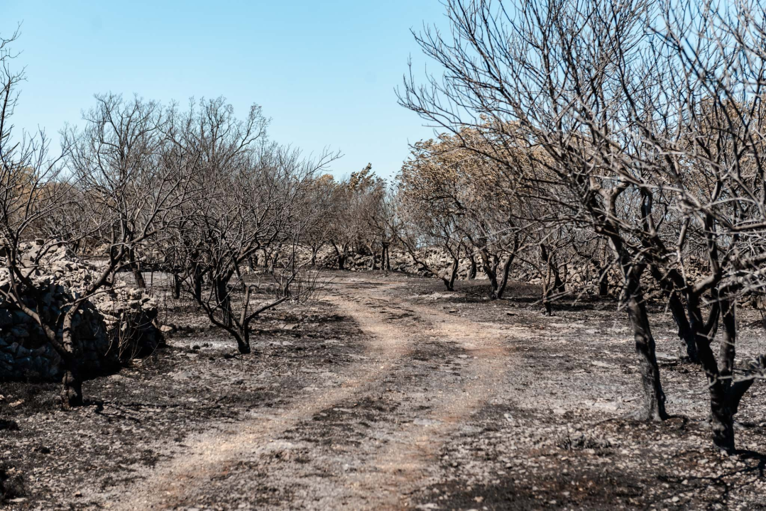  Milanović u Zatonu: Konobari imaju veću plaću od dobrovoljnih vatrogasaca, nitko neće izgorjeti za pet tisuća kuna