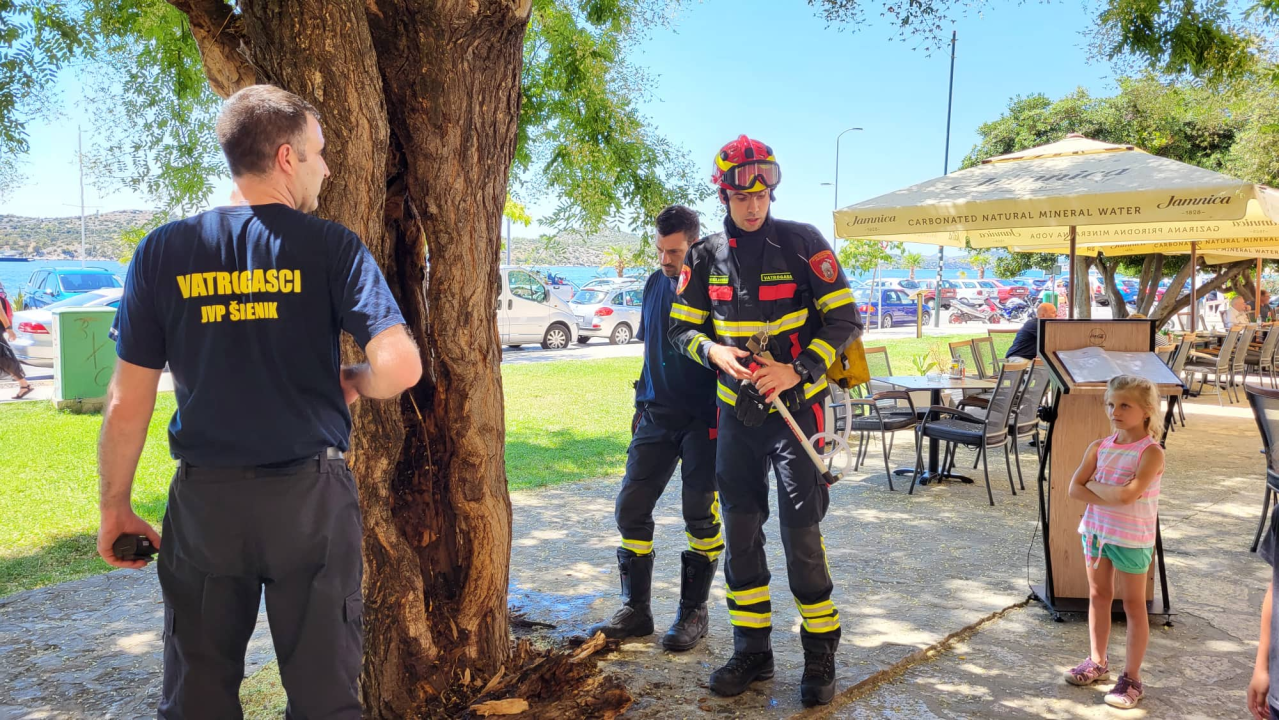Zapalilo se stablo ispred Azimuta, svjedoci: 'Netko je bacio opušak'   