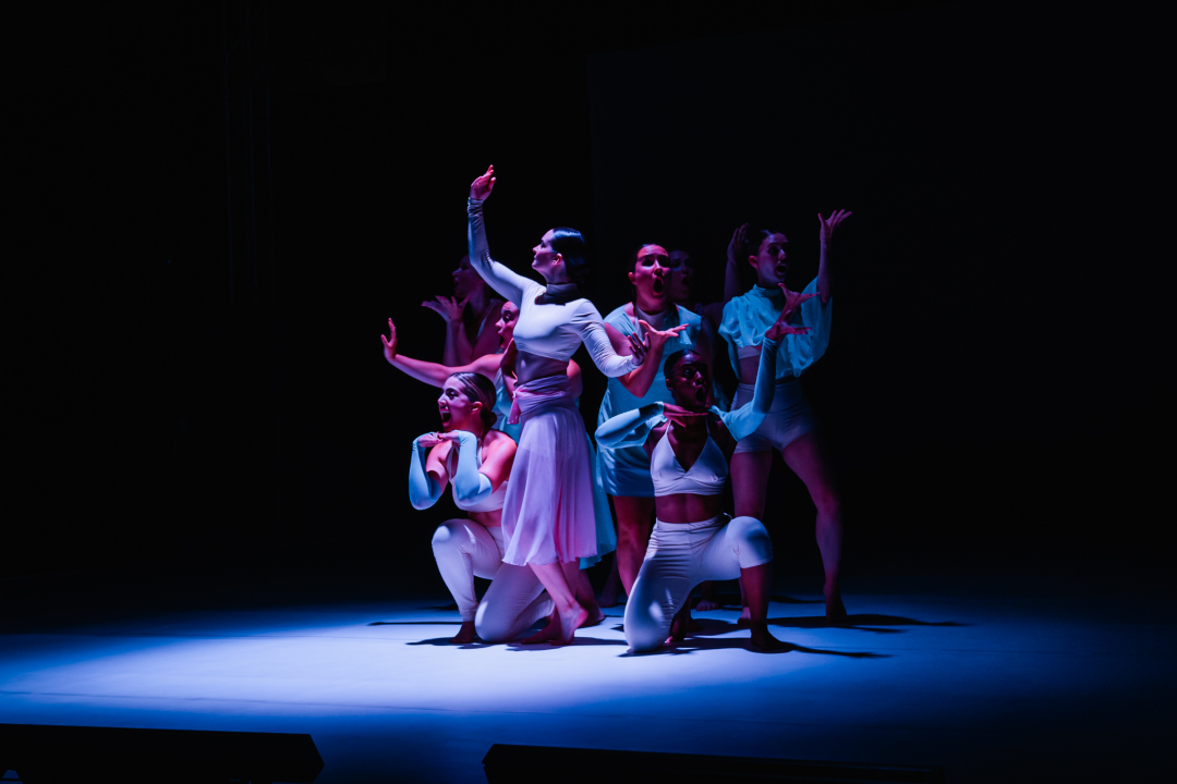 Šibenski plesni festival otvoren vratolomijama: Grad je idućih pet dana plesni centar svijeta