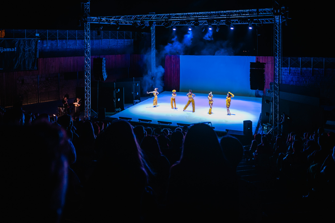 Šibenski plesni festival otvoren vratolomijama: Grad je idućih pet dana plesni centar svijeta