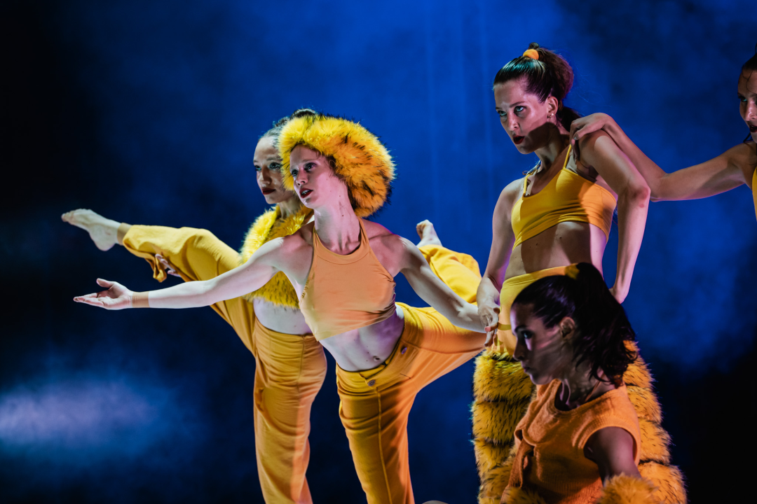 Šibenski plesni festival otvoren vratolomijama: Grad je idućih pet dana plesni centar svijeta