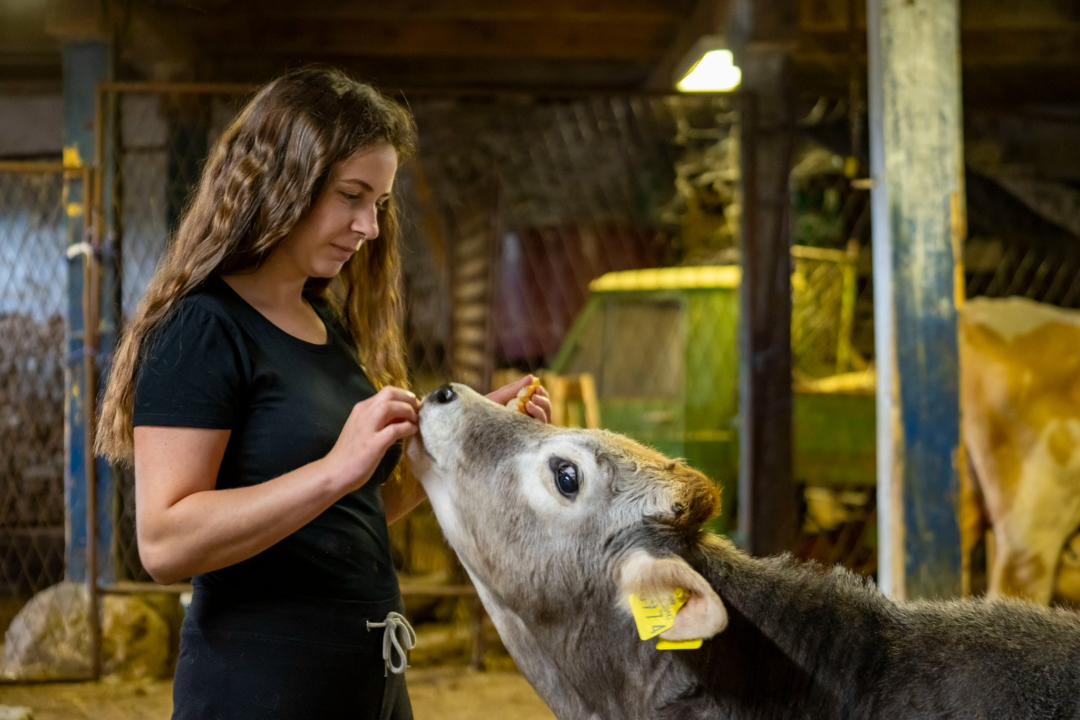 Upisi bez državne mature na stručne studije Veleučilišta „Marko Marulić“ u Kninu na trećem upisnom roku