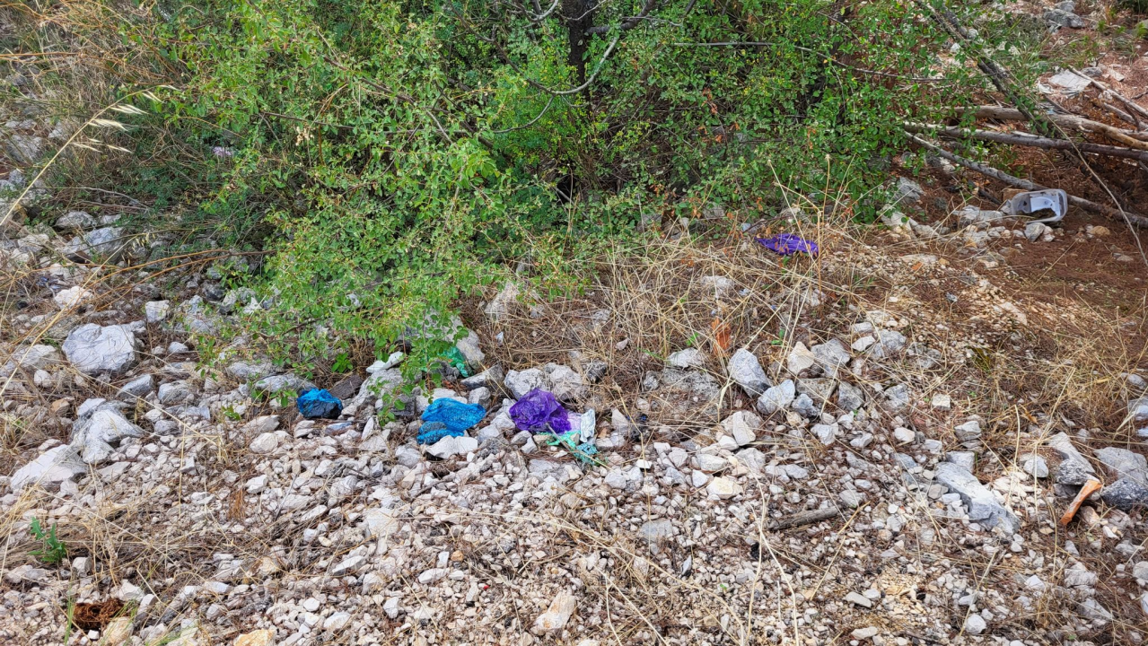 Sve više vlasnika pasa u Šibeniku usvaja novi trend: Dvostruko onečišćenje ulica i okoliša