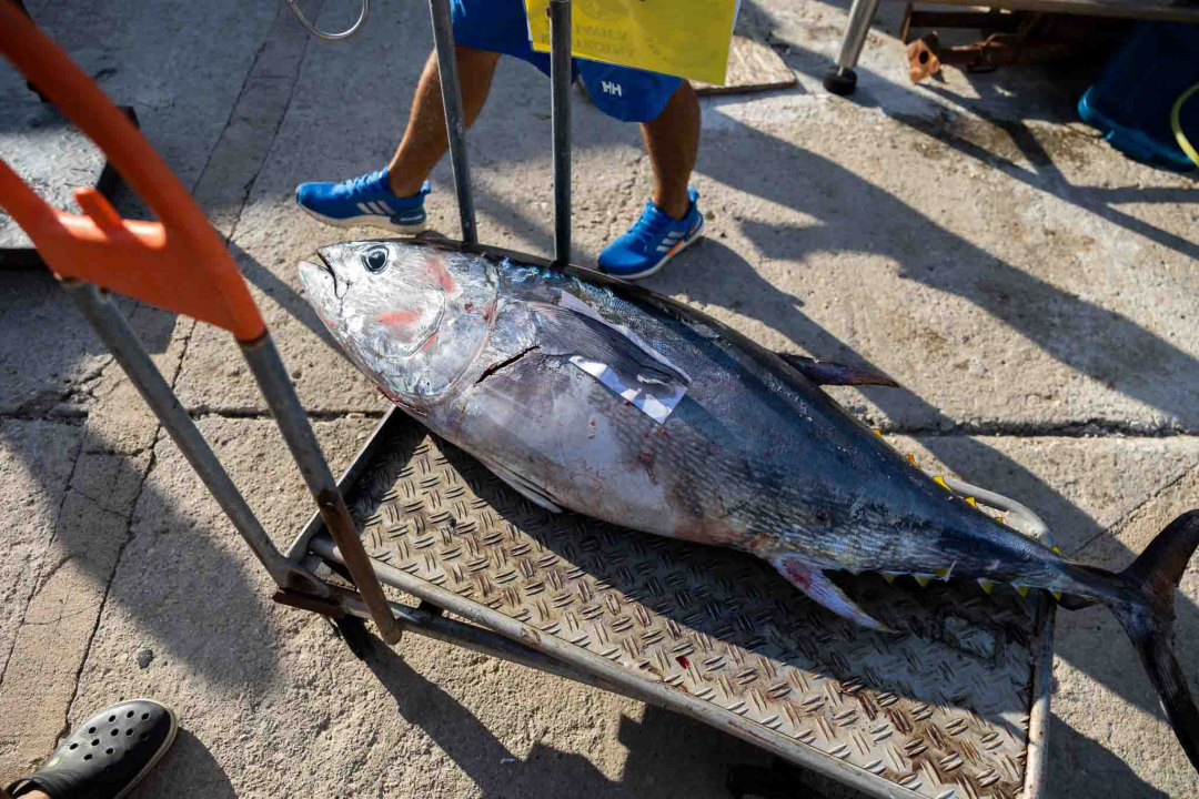 Posjetite besplatnu radionicu o zaštiti ribe i očuvanju ribljeg fonda u Jezerima!