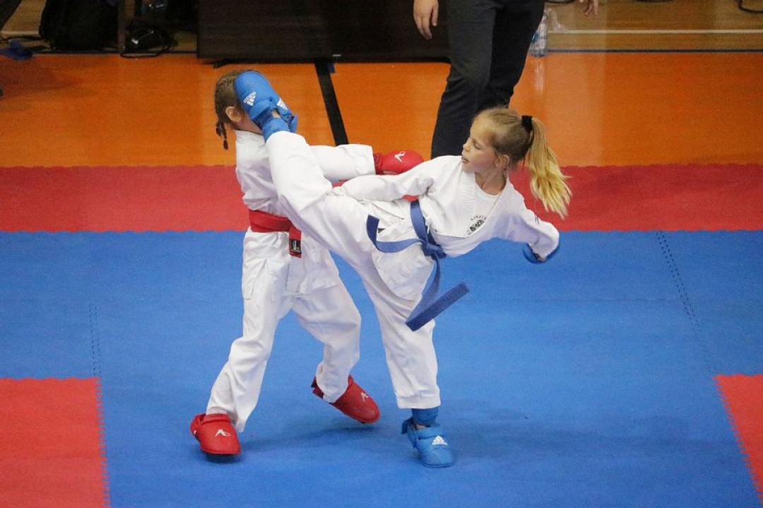 Karate poslastica na Baldekinu: Gotovo 500 natjecatelja, podignuta ljestvica kvalitete 