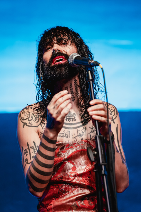 Vrećin glas, gitara i lutnja Edina Karamazova oduševili sinoć Šibenčane u Arsenu