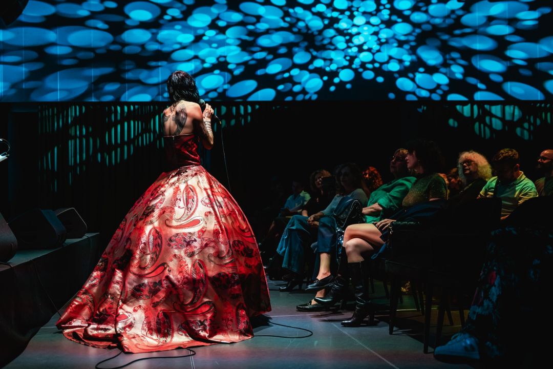 Vrećin glas, gitara i lutnja Edina Karamazova oduševili sinoć Šibenčane u Arsenu