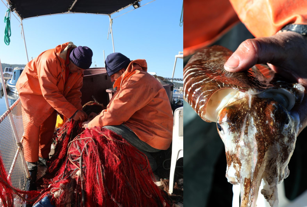 Ribarska crtica iz Zablaća: ‘To je otrovno isto k'o pauk, gleda san na televiziji’