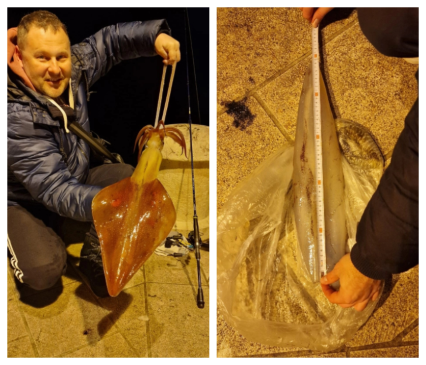 Vodičanin Robert s rive ulovio lignju tešku skoro dva kilograma