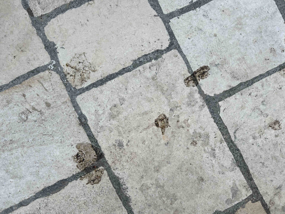 Šibenik njeguje tradiciju, barem onu srednjovjekovnu prljavih ulica!