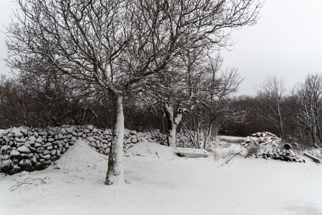 Zimska bajka na Burnumu i Manojlovcu