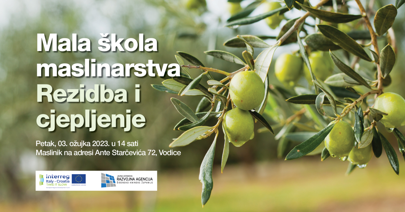 U petak u Vodicama radionica 'Mala škola maslinarstva – Rezidba i cijepljenje'