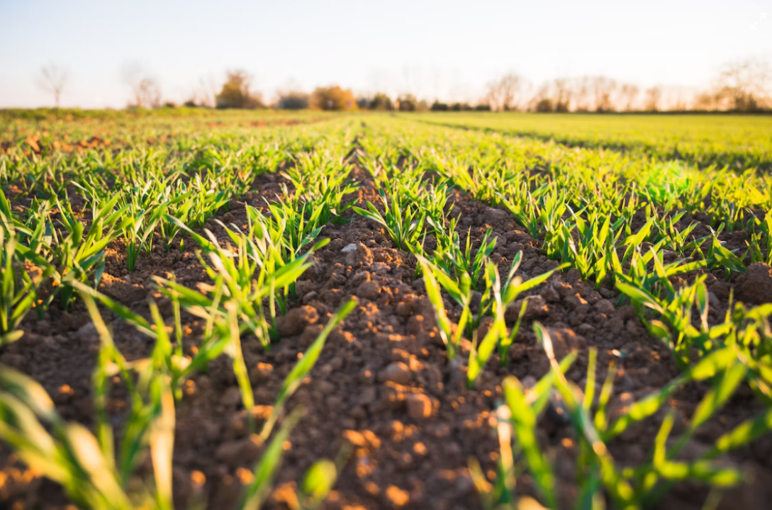 U Šibeniku druga radionica posvećena ekološkoj poljoprivredi i proizvodnji, certifikatu kvalitete i eko oznakama