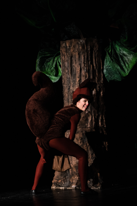 Šibensko kazalište ima novu predstavu za djecu: 'Ovo je nastavak avantura zeke i vjeverice'