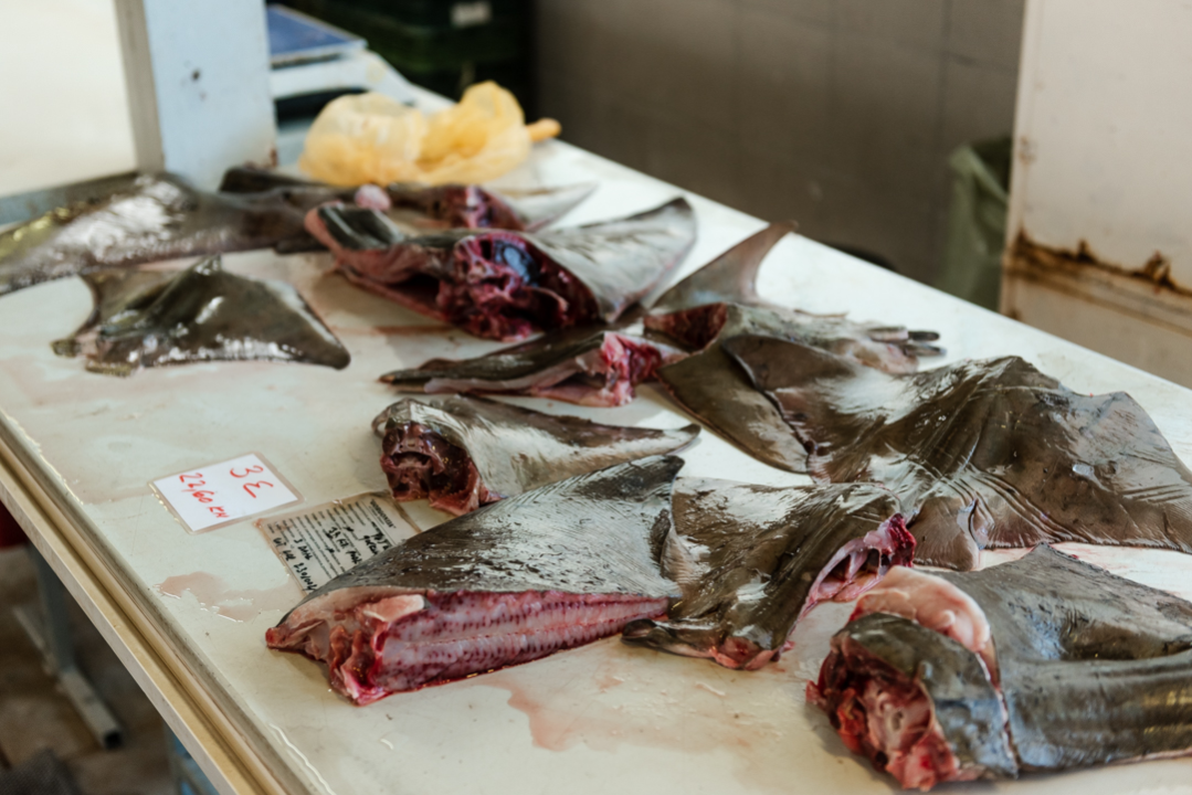 Bura učinila svoje: Veliki petak je, ali ponuda na šibenskoj peškariji nije bila bogzna što 