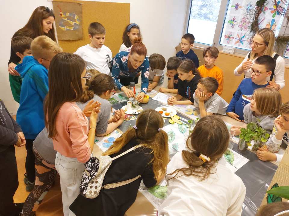 U knjižnici održana radionica koja je djecu uvela u čarobni svijet botanike