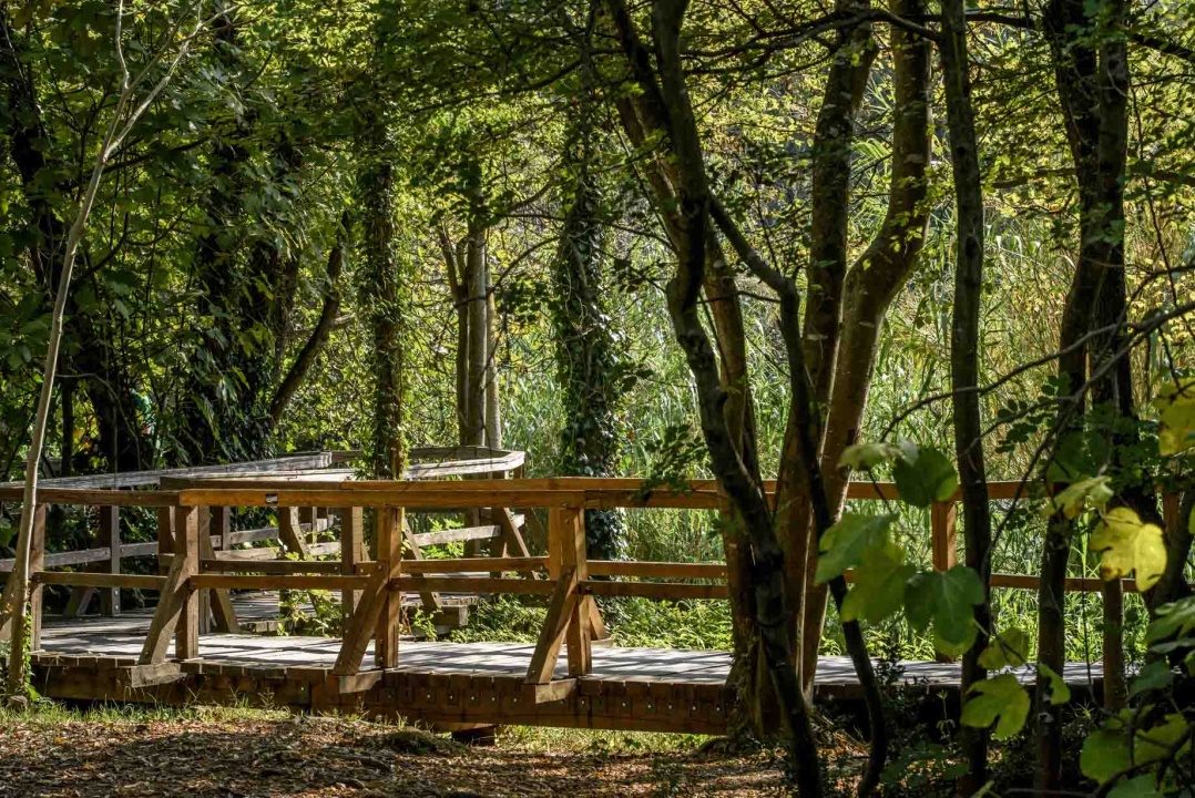 Posjeti NP &quot;Krka&quot; na Praznik rada, preuzmi svoju sadnicu i posadi je za budućnost!