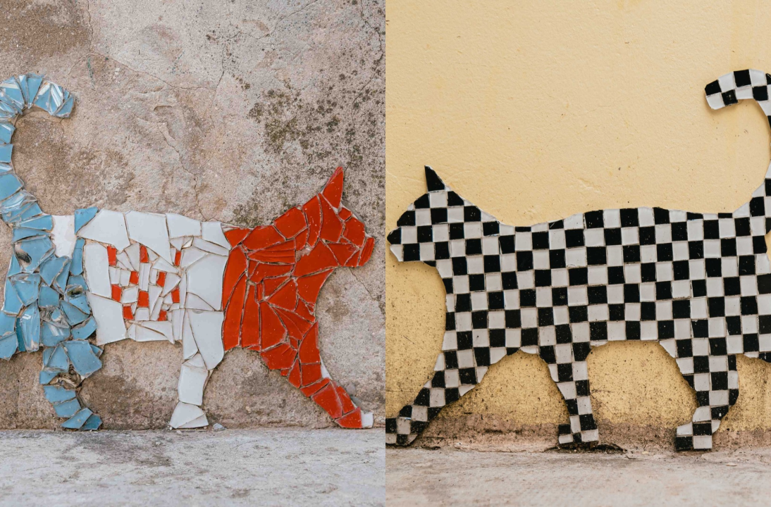 Mačke nakon šibenskih ulica osvojile i fasade u starom gradu: Autora ovog 'street arta' još uvijek ne znamo, ali sviđa nam se