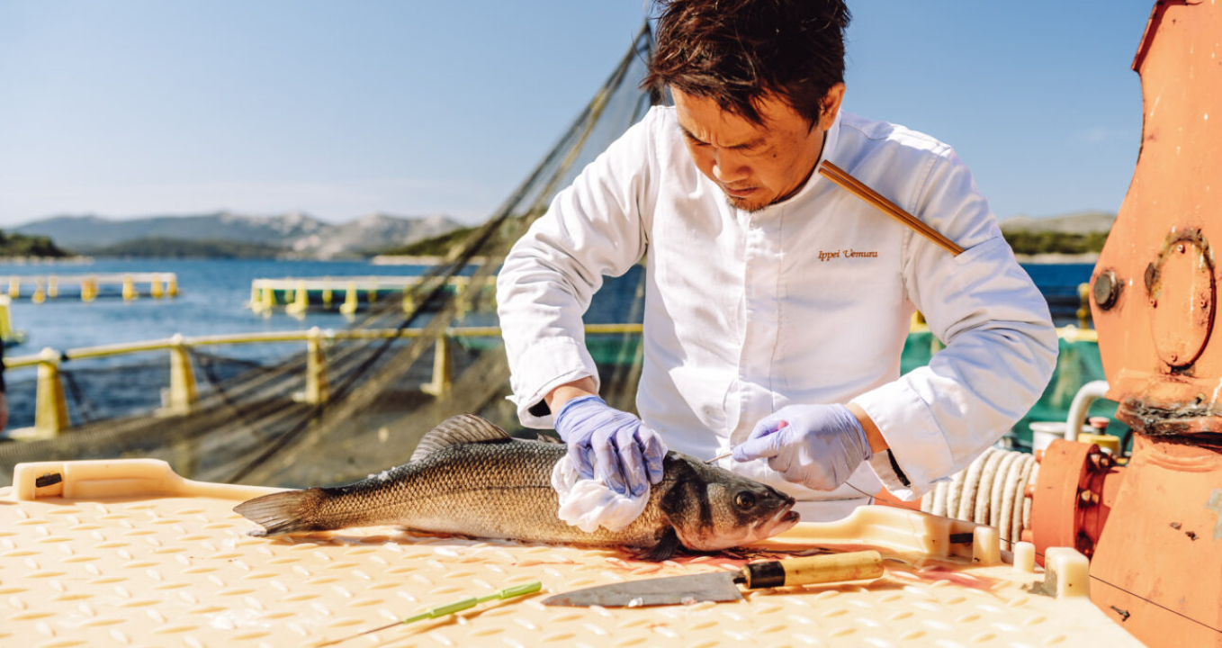 Mirsad Mešinović stvara vrhunske foto i video materijale!