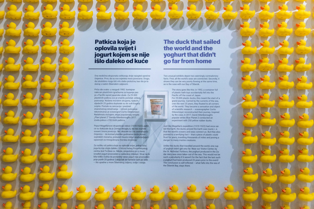 Posjetili smo posjetiteljski centar u Minerskoj: Virtualna stvarnost, povijest kanala sv. Ante, flora, fauna, podmorje… 