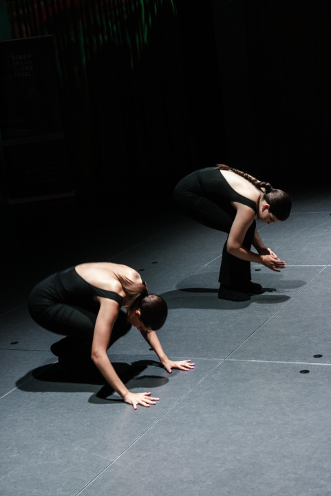Čuveni Kibbutz Contemporary Dance Company stiže na tvrđavu svetog Mihovila