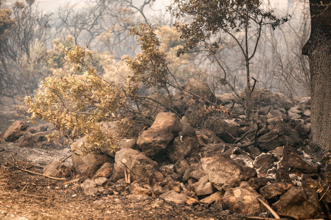 FOTOGALERIJA: Vatrogasci i stanovnici bore se s požarom u Grebaštici