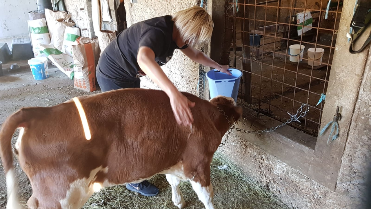 Ivana se bojala buba, a danas u zaleđu Vodica ima ranč koji je u utrci za najbolji u Hrvatskoj