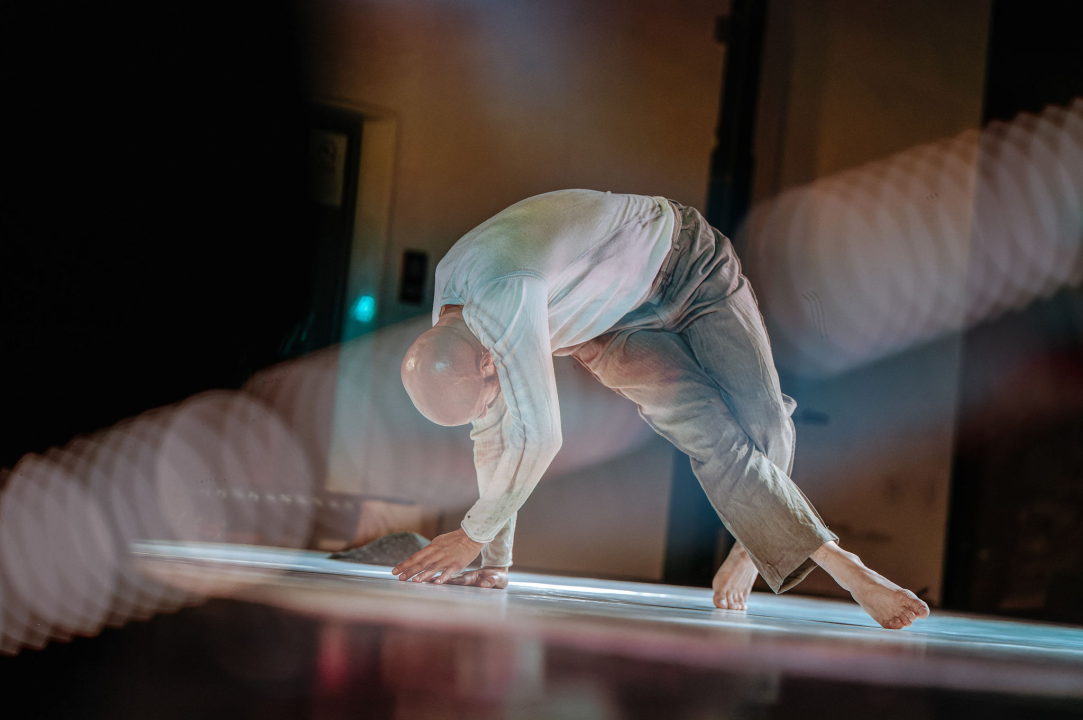 Zvuk tišine, pasivna ljubav i ljudska prolaznost – teme impresivnih koreografija izvedenih druge večeri ŠDF-a