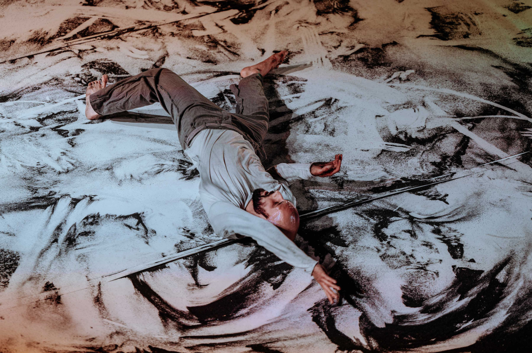 Zvuk tišine, pasivna ljubav i ljudska prolaznost – teme impresivnih koreografija izvedenih druge večeri ŠDF-a