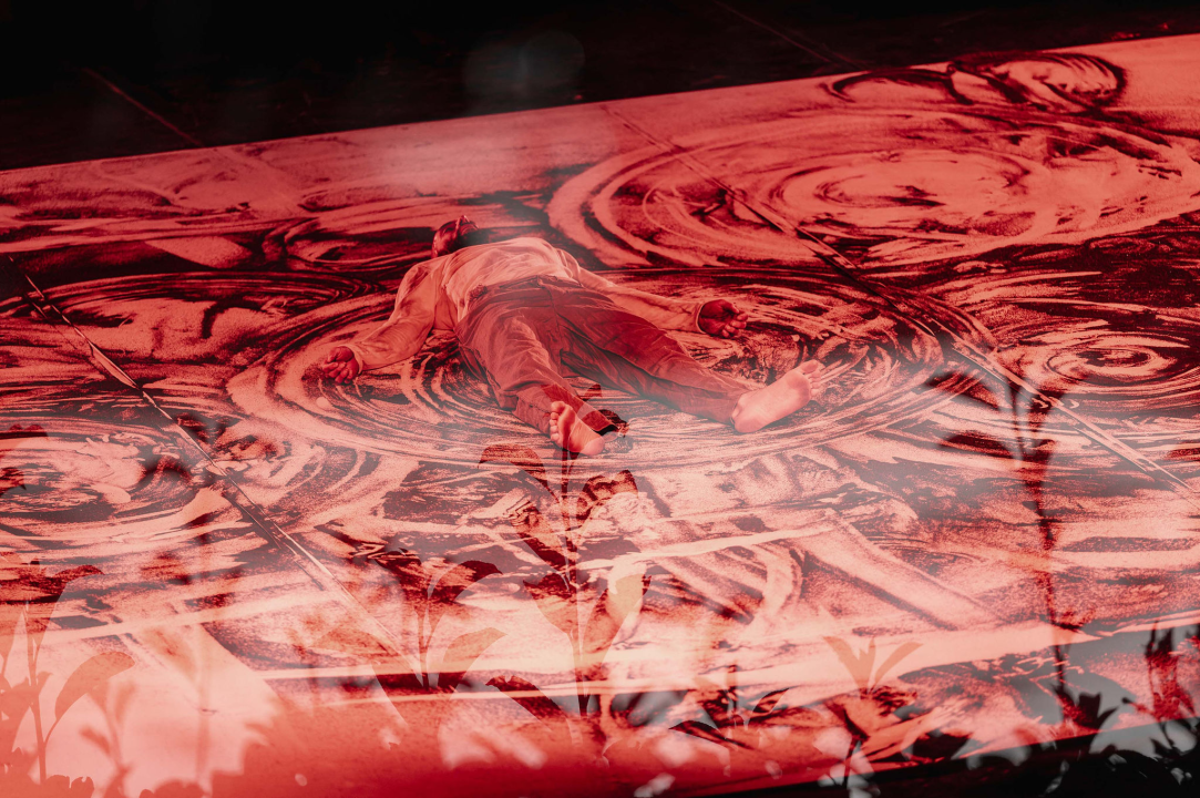 Zvuk tišine, pasivna ljubav i ljudska prolaznost – teme impresivnih koreografija izvedenih druge večeri ŠDF-a