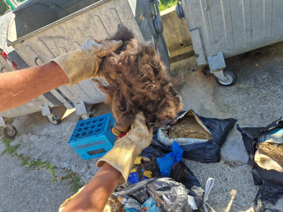 Volonteri kninske udruge ostavili 20 vreća životinjskog otpada u centru Kijeva