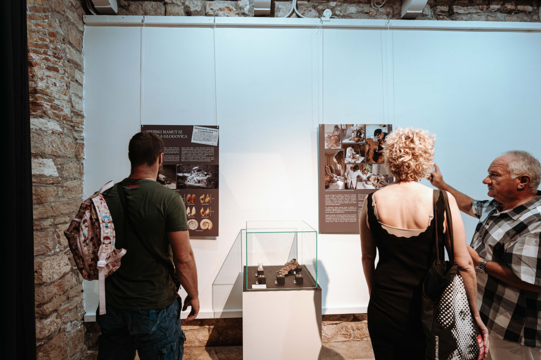 U Muzej ‘stigao’ stepski mamut iz Slavonskog Broda: ‘I Drniš svog mamuta ima'