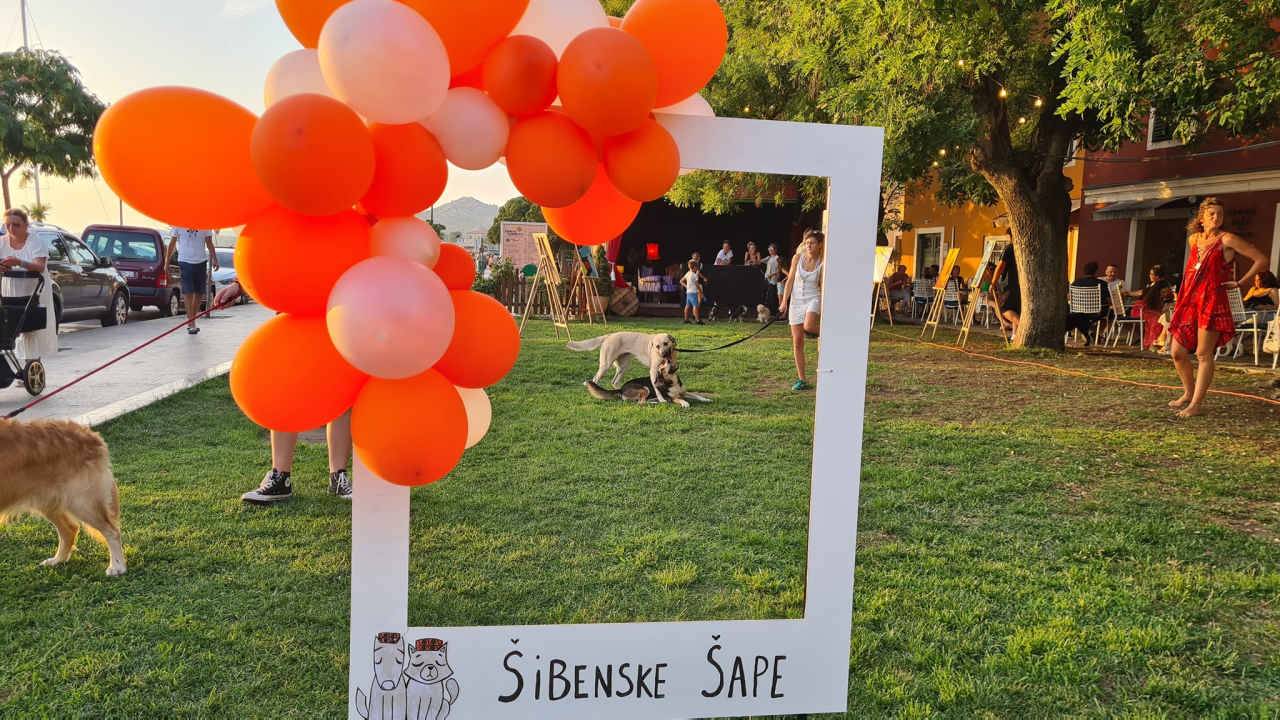 U Šibeniku izabrani najljepši psi mješanci